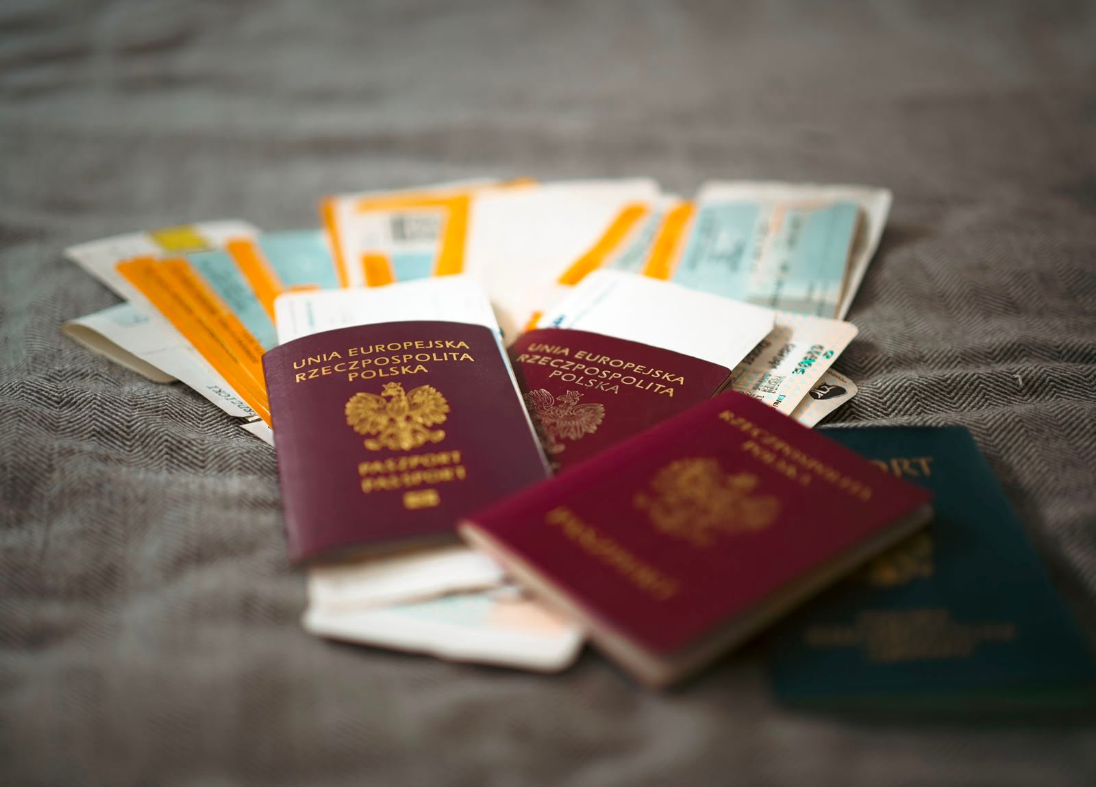 Immigration illustration
